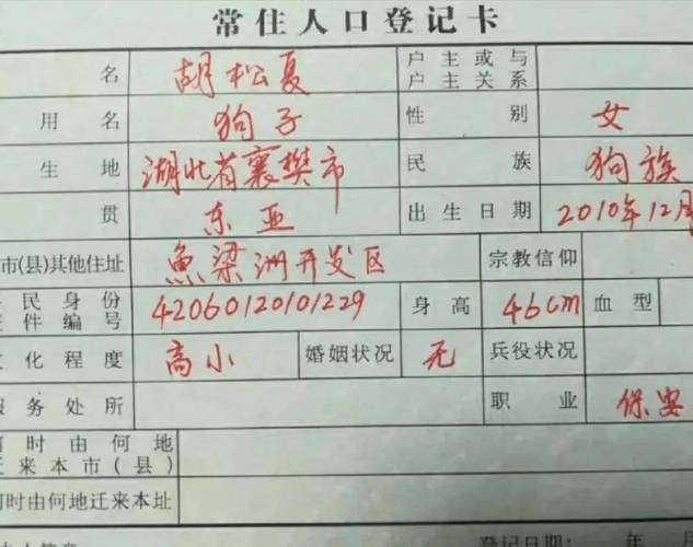 给狗狗上户口有什么好处
