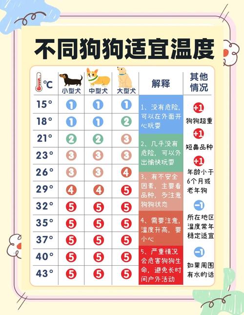 狗狗发烧40度吃什么药好