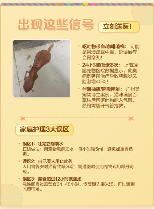 猫咪呕吐能否自愈