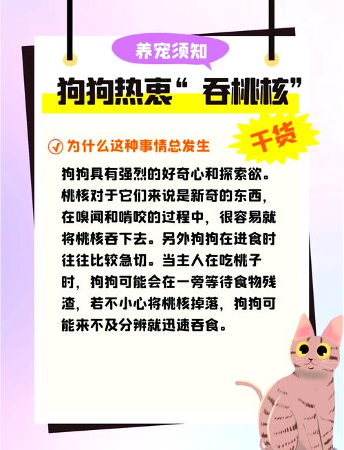 狗狗吃桃子会怎么样?