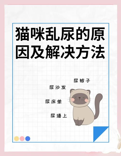 猫咪在家乱尿的几个常见原因