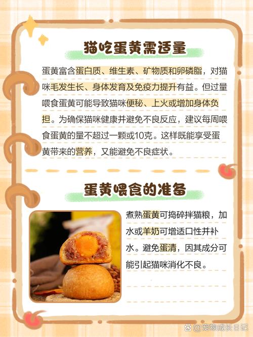 猫吃蛋黄的正确方法