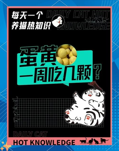 猫吃全蛋还是蛋黄