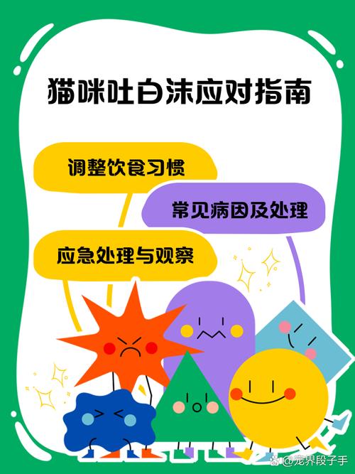 猫咪不吃不喝口吐白沫还没精神怎么办