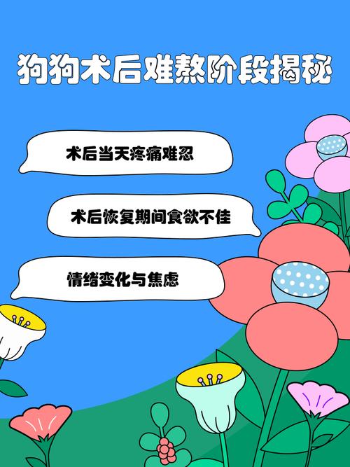 狗狗手术后最难熬的三个阶段