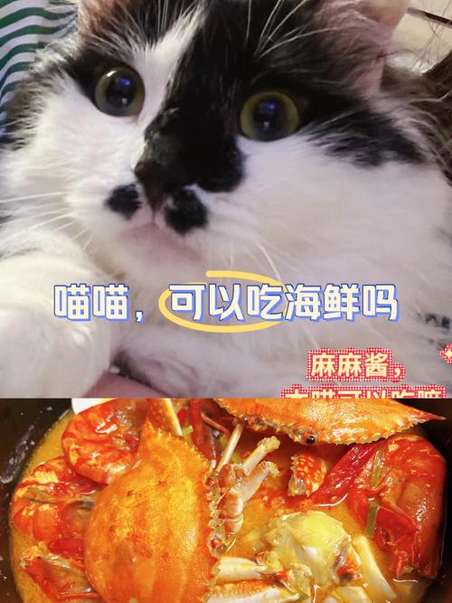 猫能吃鱿鱼吗?