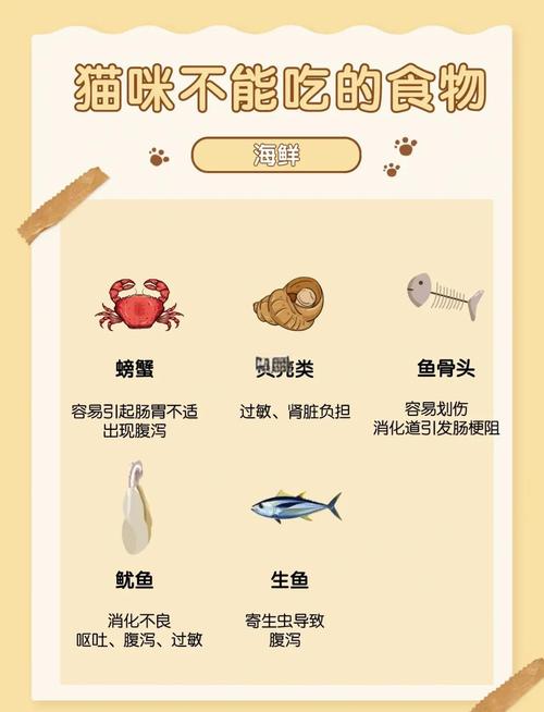 什么海鲜猫咪不可以吃
