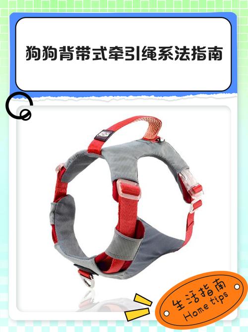 拴小狗狗的绳子怎么系