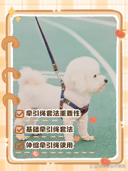 狗狗胸背牵引绳怎么套-狗绳是项圈好还是背带好