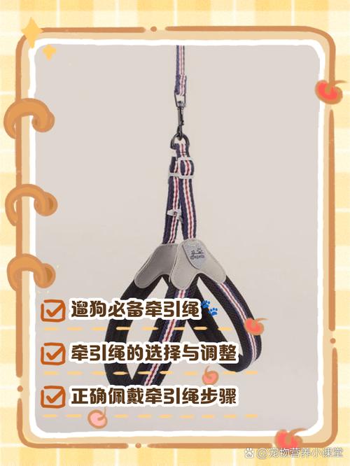 狗狗胸背牵引绳怎么套