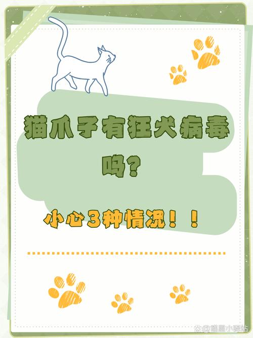 猫会携带狂犬病毒不发病吗