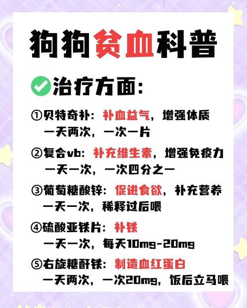 狗狗的贫血的原因与症状简介
