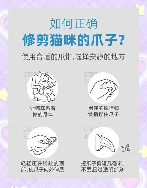 两个月大的猫可以剪爪子吗?
