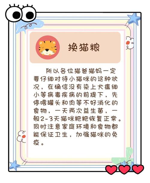 猫咪怀孕拉肚子怎么办啊