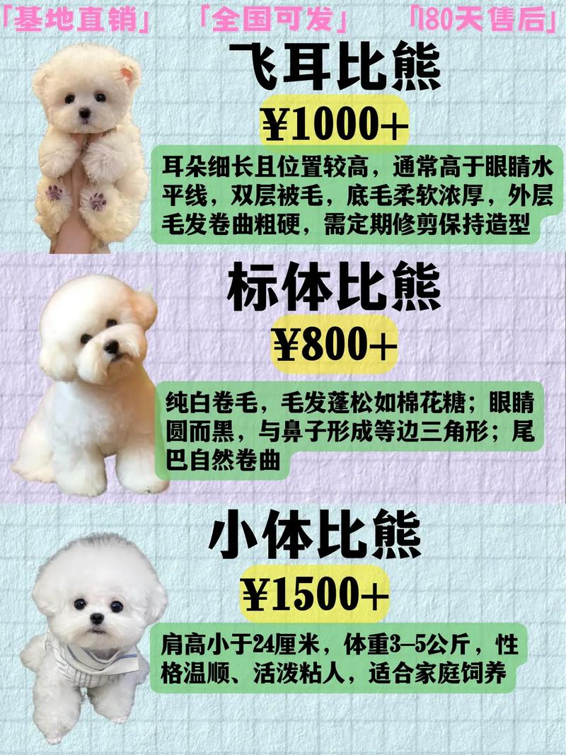 【泰迪狗狗美容多少钱】