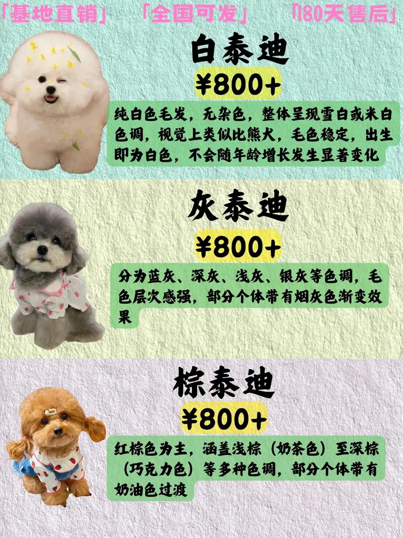 狗狗美容多少钱