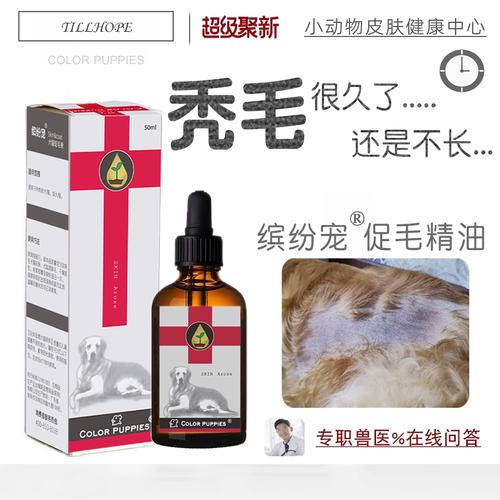 狗狗外伤愈合后,伤口处不长毛怎么办?