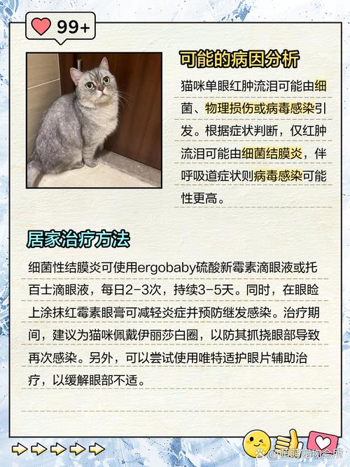 猫咪突然单只眼睛红肿用什么药