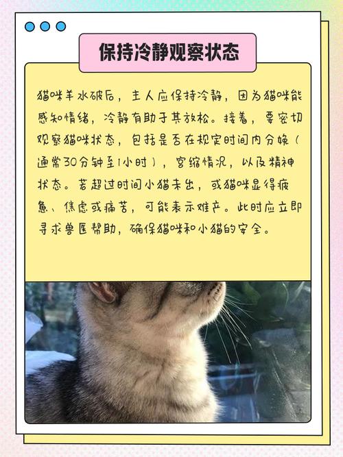 猫咪一直不生有办法催产吗