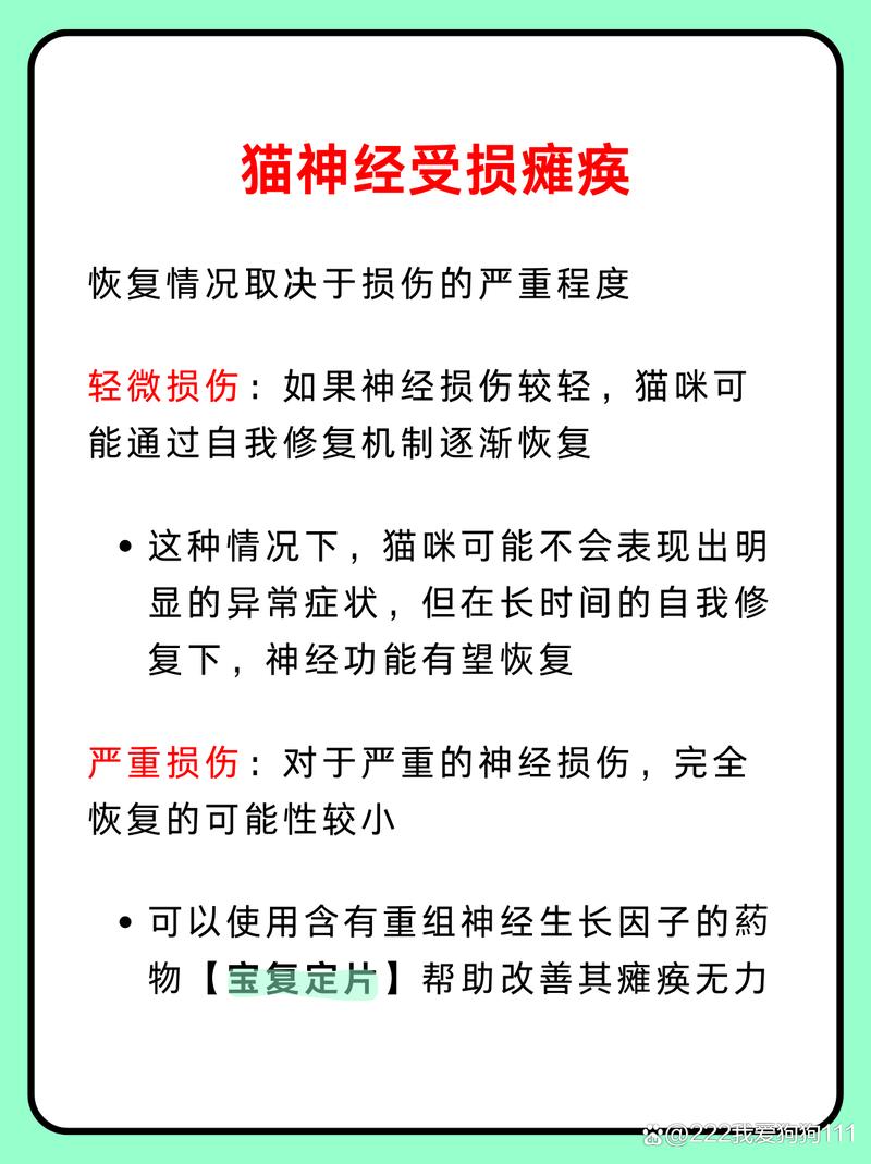 猫神经受损会自愈吗