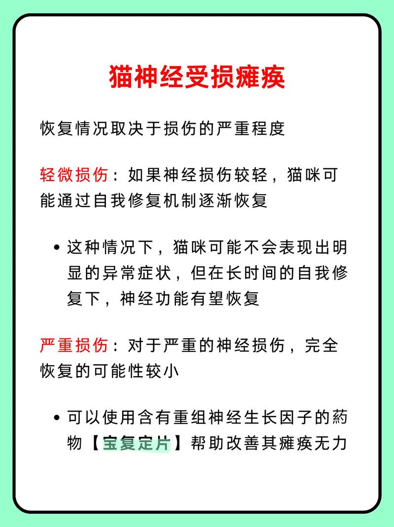 猫脊椎神经受损可能会恢复吗