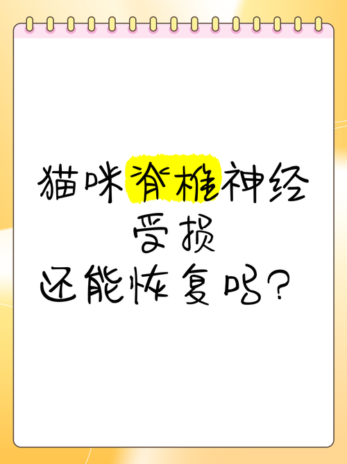 猫神经受损可以恢复吗