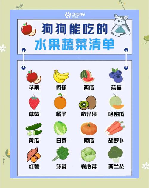 三个月狗狗可以吃什么水果蔬菜