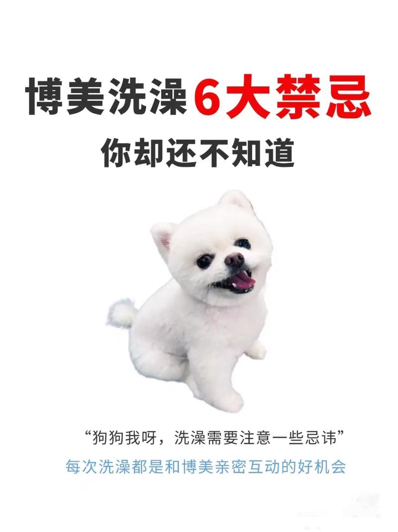 如何让狗狗不再害怕洗澡