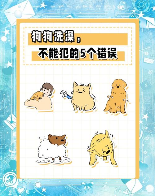 狗狗不敢洗澡怎么办