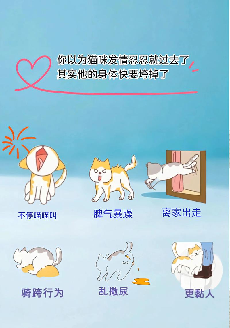 猫摇尾巴是代表什么心情