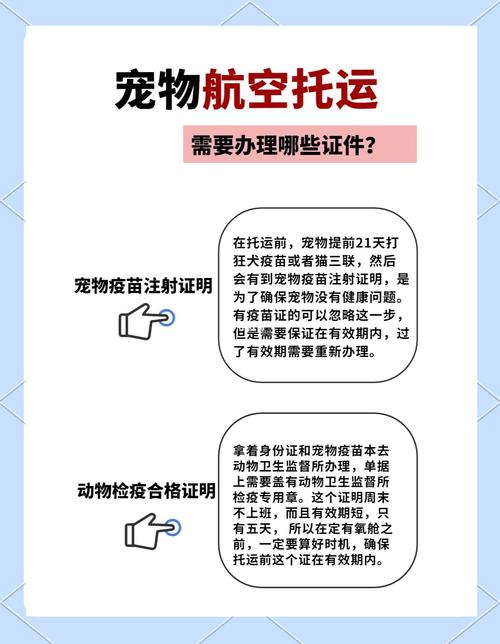 飞机可以单独托运狗狗吗