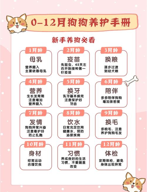 1个多月的狗狗认主人吗