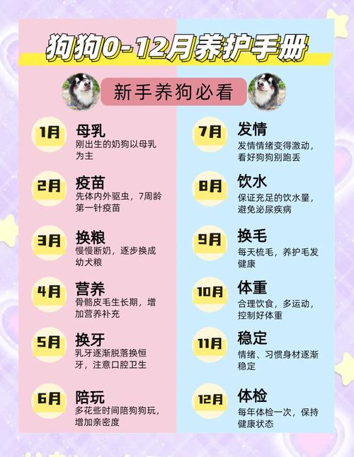 狗狗养多久会记住你,饲养得当可在1个月左右记住