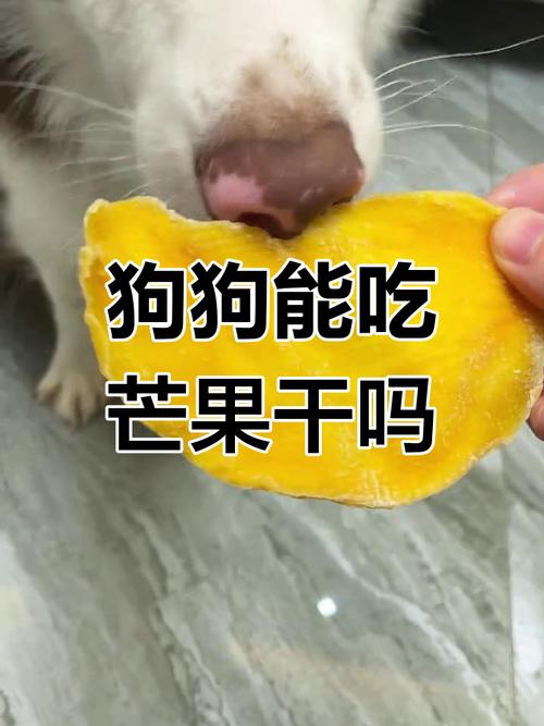 狗狗吃芒果会怎样