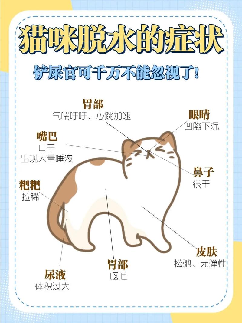 猫脱水症状