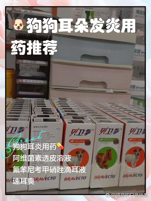 狗狗耳朵发炎用什么药消炎好