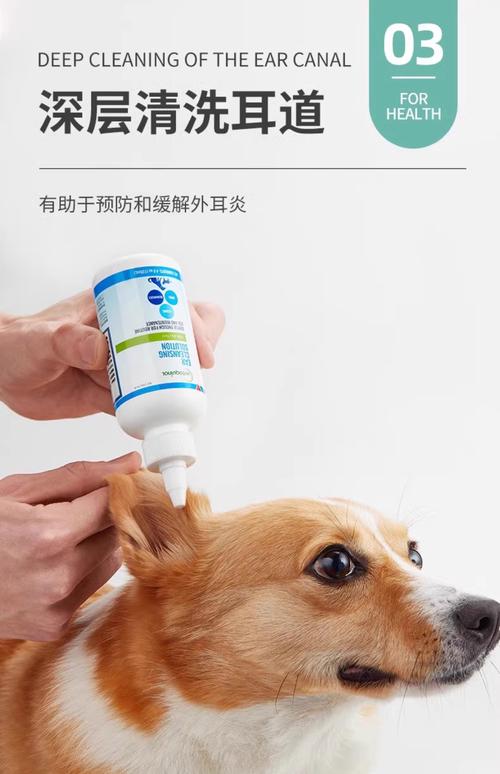 狗狗耳朵肿胀怎么回事