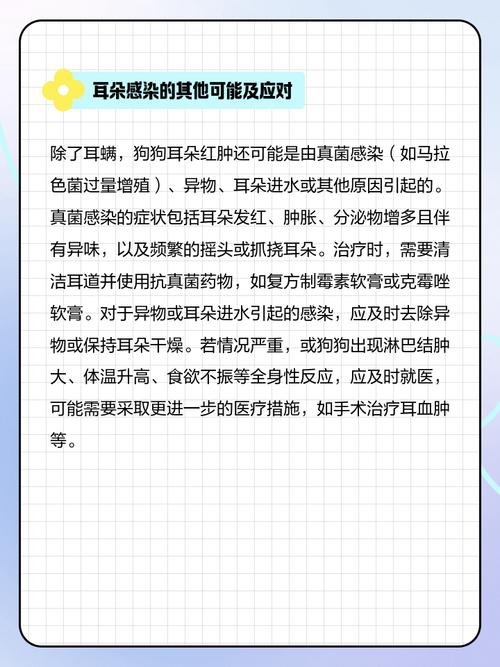 狗的耳朵发炎了怎么办