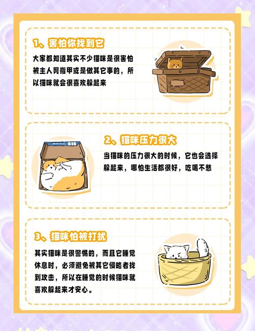 猫猫为什么喜欢和人玩躲猫猫