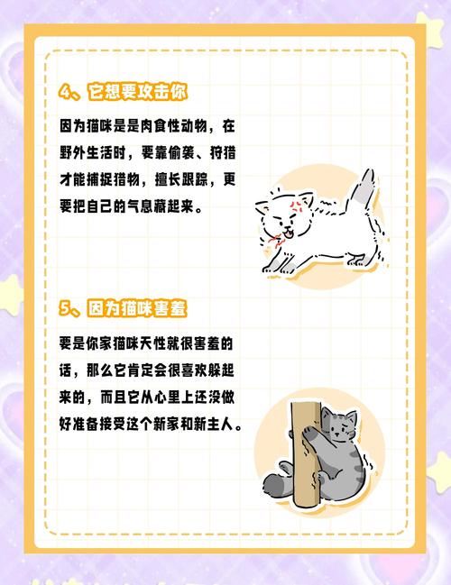 猫咪为什么喜欢躲猫猫