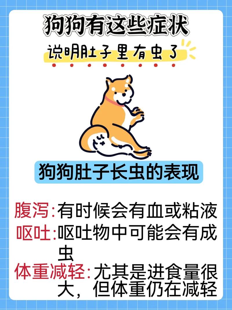 狗狗肚子有虫子的症状有哪些