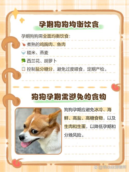 狗狗怀孕一个月了吃了很多猪骨头会滑胎吗?