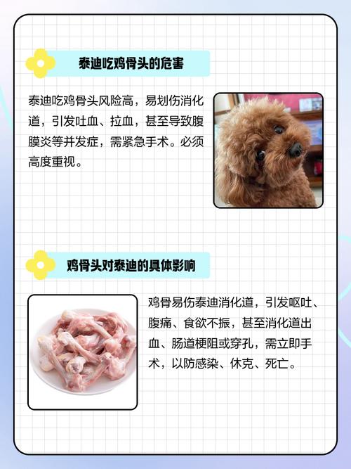 小狗怀孕了吃鸡骨头会怎么样