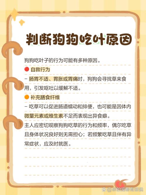 酸梅汁可以做菜吗柯基犬能吃莴笋叶吗