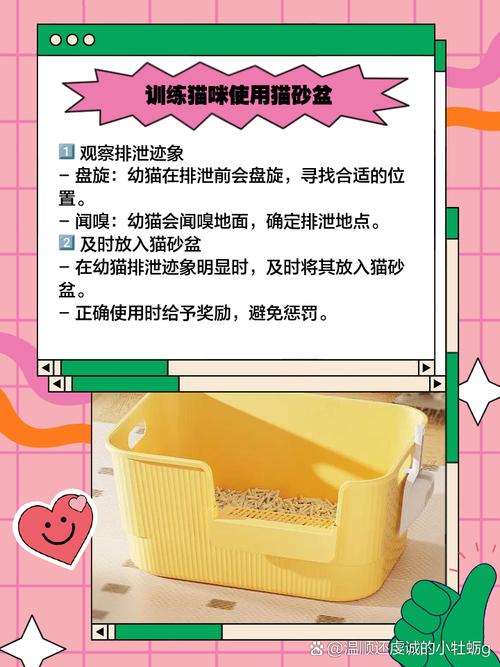 狗狗为什么就不能用猫砂呢