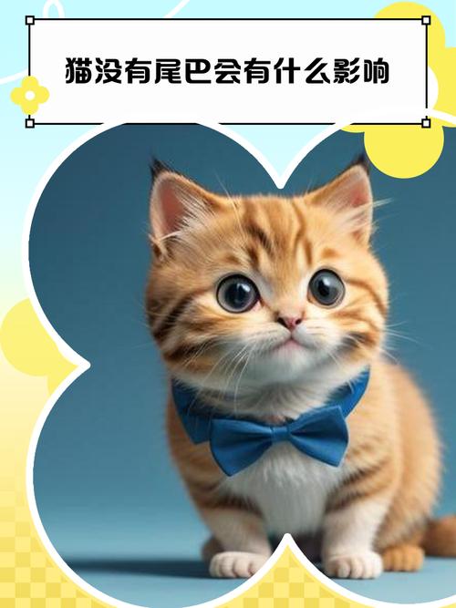 猫没有尾巴会有什么影响吗?