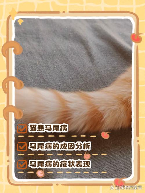 猫的尾巴有什么作用?猫咪尾巴作用