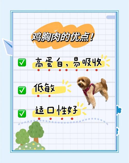 狗吃的鸡胸肉煮几分钟