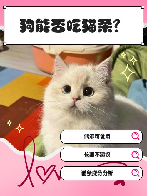 狗狗可以吃椰子脆片吗