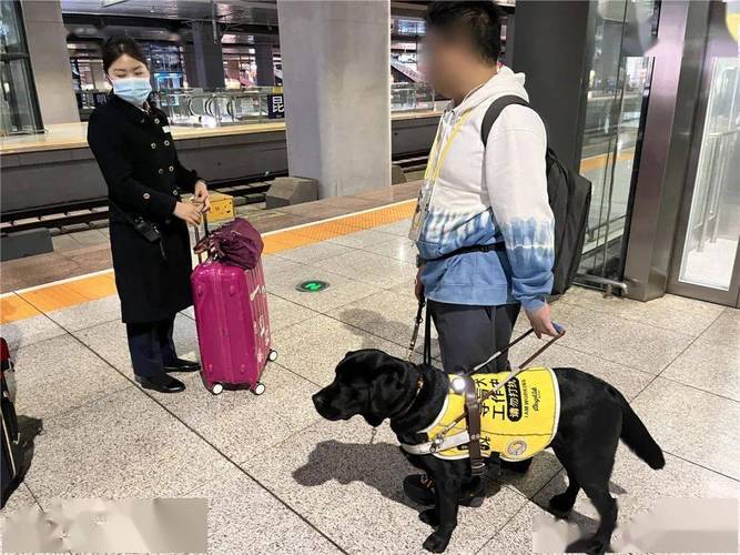 带宠物狗坐火车需要什么手续